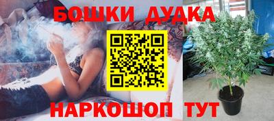 spice Обь