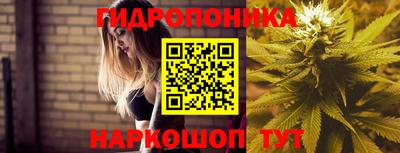 spice Обь