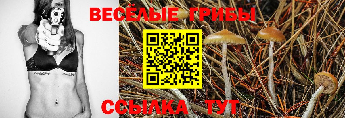 Сыктывкар  Галлюциногенные грибы Magic Shrooms  Галлюциногенные грибы Psilocybine cubensis  Вход с VPN 