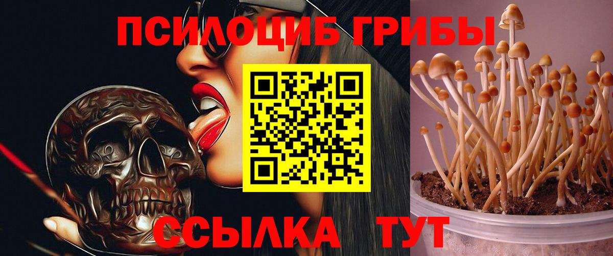 Псилоцибиновые грибы GOLDEN TEACHER Сыктывкар